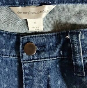 Christopher & Banks Blue Denim Jeans
